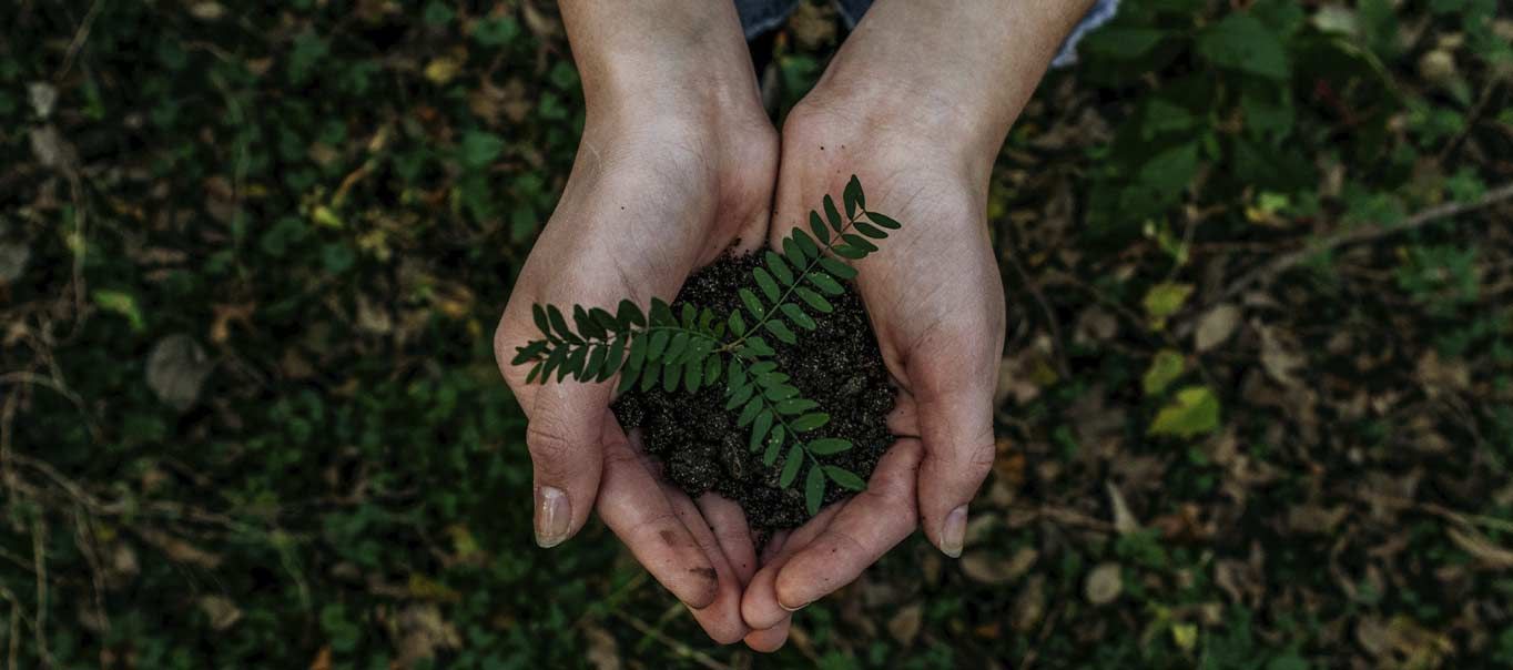 Sistema de gestión integrada de TAINCA